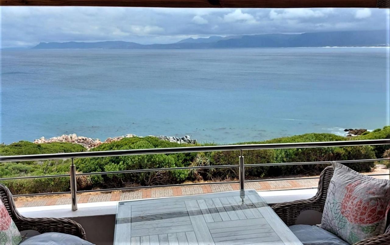Kleinzee Oceanfront Guesthouse Gansbaai Extérieur photo