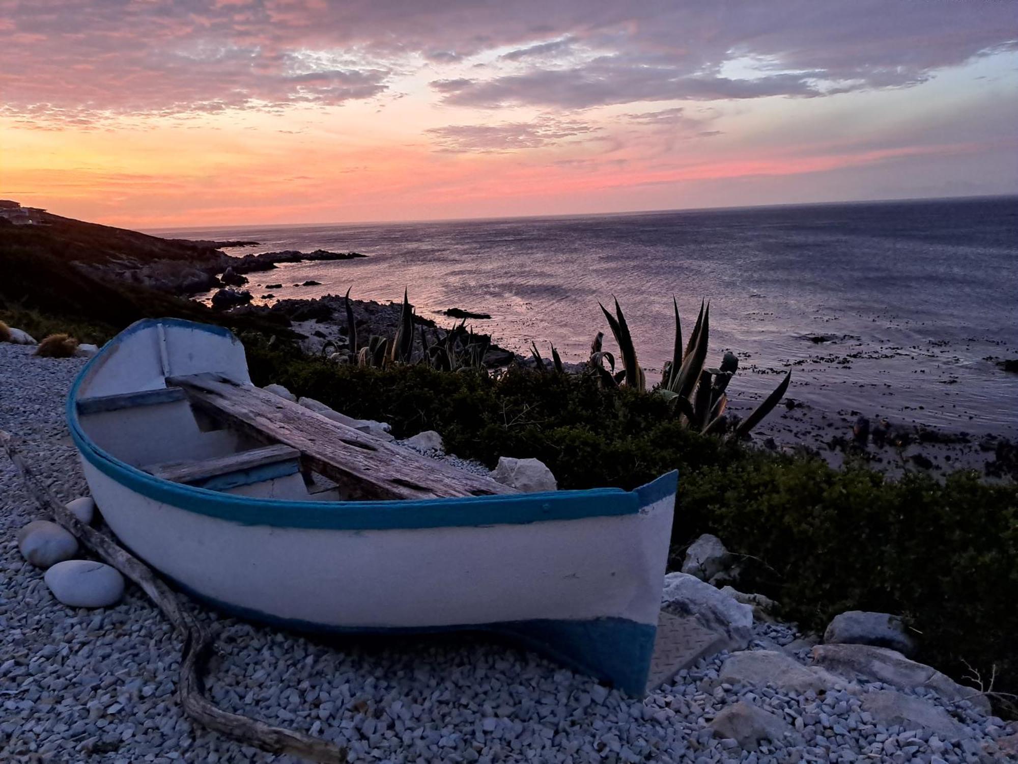 Kleinzee Oceanfront Guesthouse Gansbaai Extérieur photo
