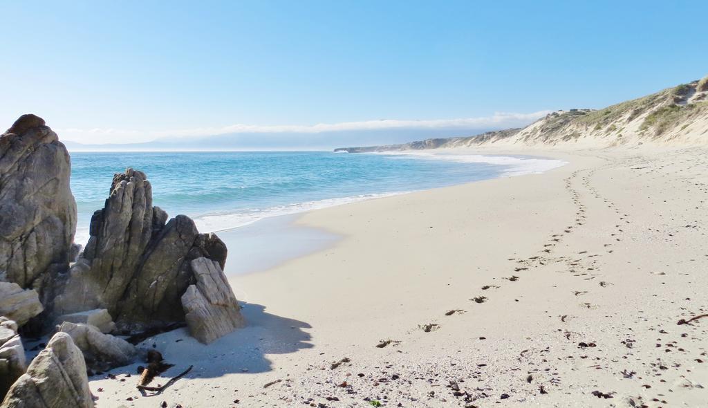Kleinzee Oceanfront Guesthouse Gansbaai Extérieur photo