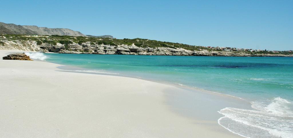 Kleinzee Oceanfront Guesthouse Gansbaai Extérieur photo