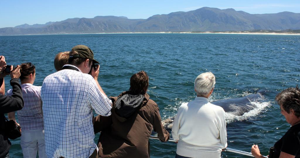 Kleinzee Oceanfront Guesthouse Gansbaai Extérieur photo